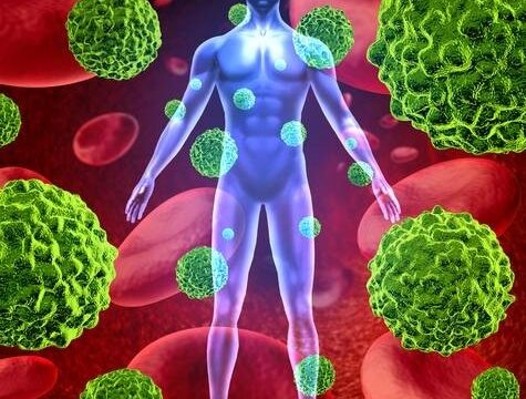 Xây dựng lối sống cân bằng để giữ sức đề kháng ổn định quanh năm